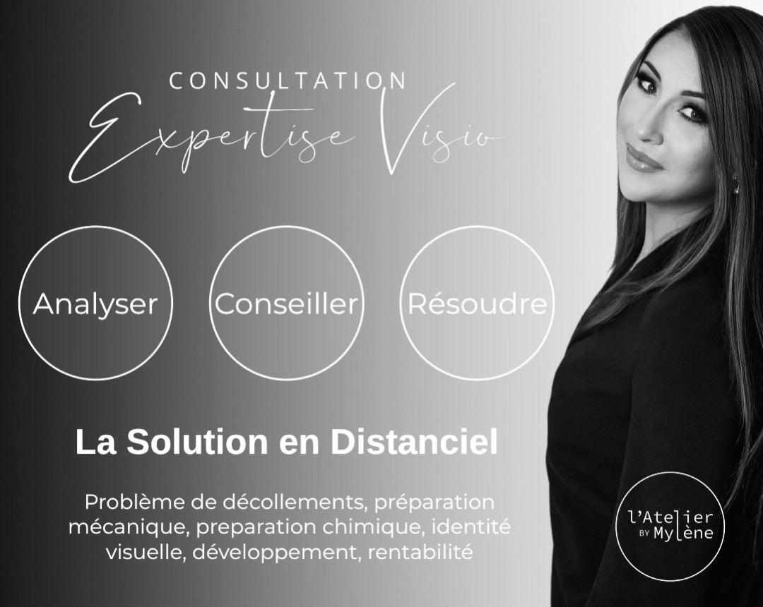 Consultation Expertise Visio